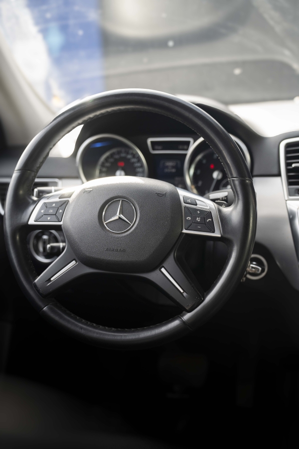 MERCEDES BENZ ML 350 BLUE EFFICIENCY SPO - Imagen 13
